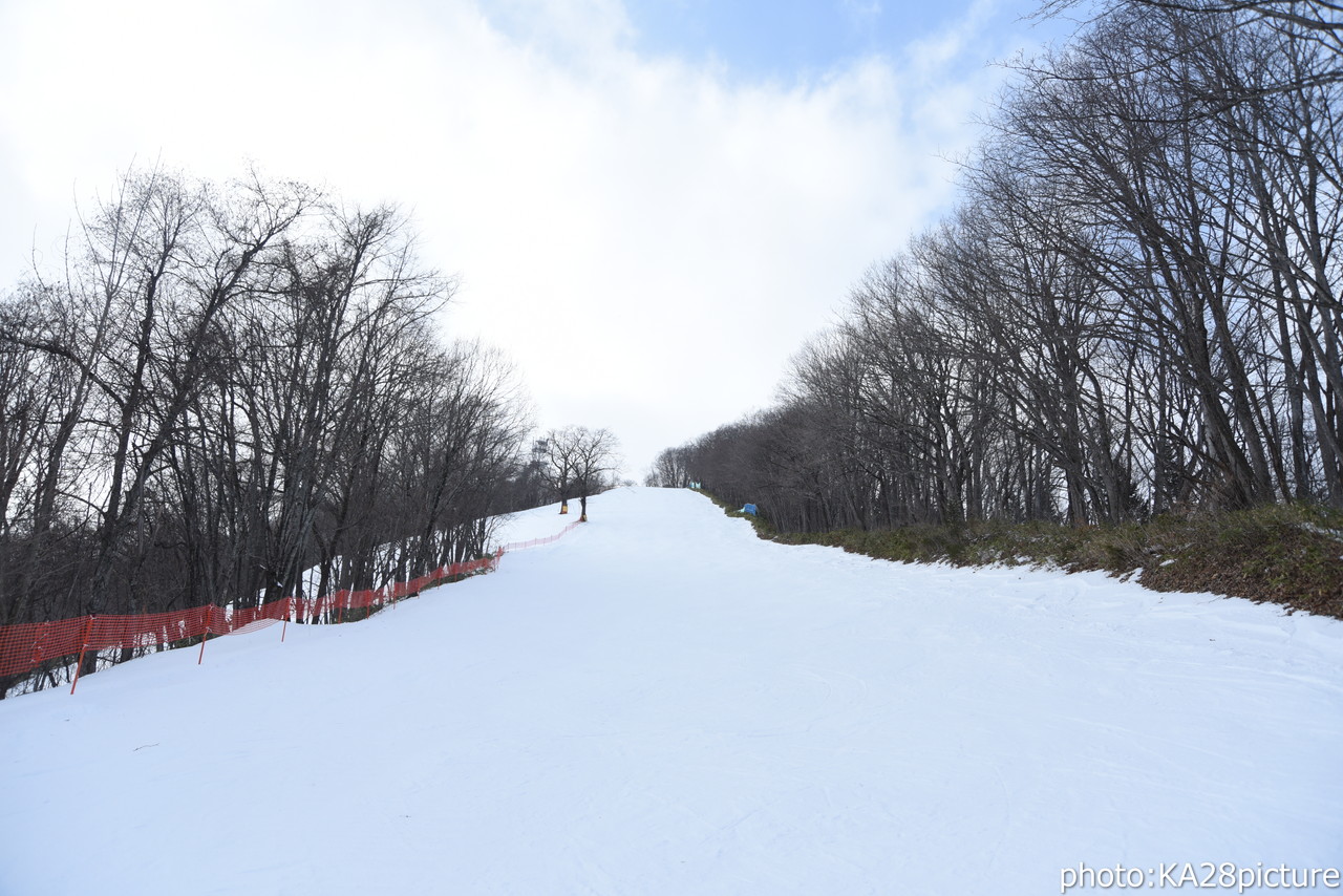 新得山スキー場　ゲレンデトップから滑走可能。ゲレンデ脇をJRの列車が走る十勝のローカルゲレンデ(^^)/